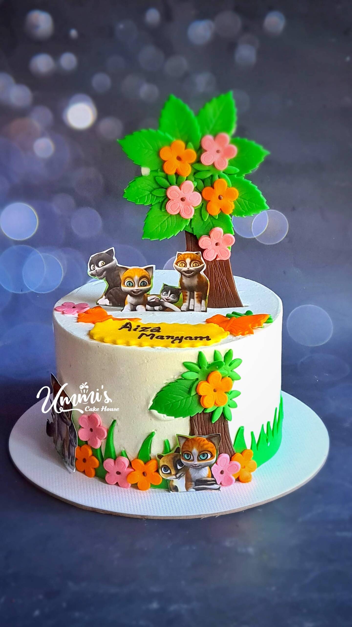 Chocolate excess cake ummi s cake house